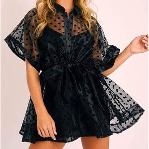 Black Sheer Polka Dot Dress